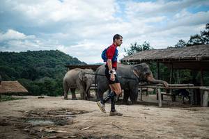 BIB: 
                            <button type="button" onclick="openModal(22423431)" class="btn btn-primary btn-sm float-right btn-popup" data-toggle="modal" data-target=".modal-high-quality">
                        <i class="fas fa-shopping-cart"></i> Add to Cart
                    </button>
                                            <button type="button" onclick="isThisMe(22423431, true)" class="btn btn-success btn-sm float-right btn-popup btn-isme hidden" data-toggle="tooltip" data-placement="bottom" title="นี่คือรูปของคุณใช่ไหม คลิกที่นี่เพื่อเอาเข้าอัลบั้ม">
                        <i class="fas fa-plus"></i> Add to album
                    </button>
                    <button type="button" onclick="isThisMe(22423431, false)" class="btn btn-warning btn-sm float-right btn-popup btn-isnotme hidden">
                        <i class="fas fa-ban"></i> Remove from album
                    </button>